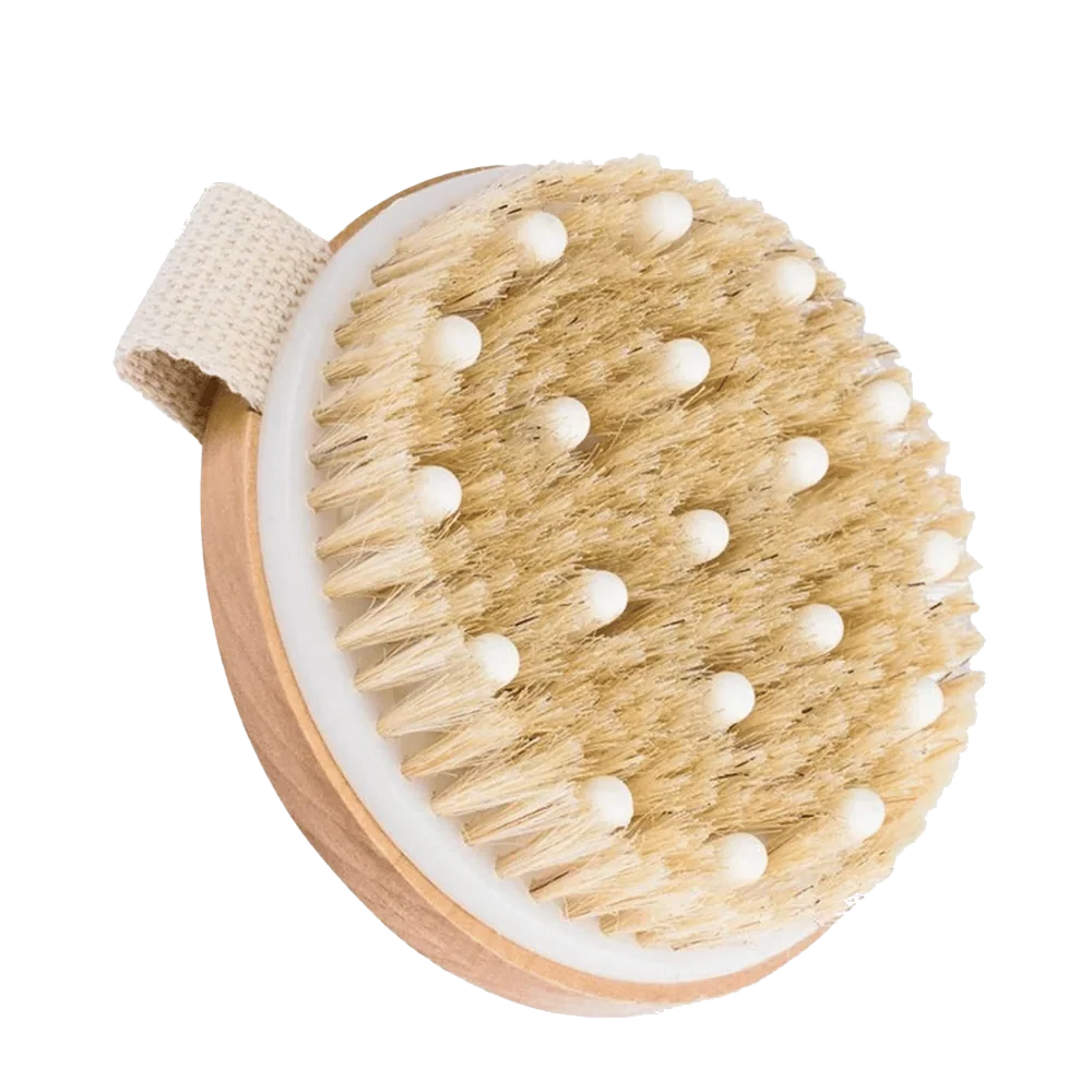 Brosse Ventre